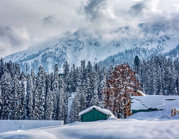 Best Time to Visit Kashmir to Witness Snowfall