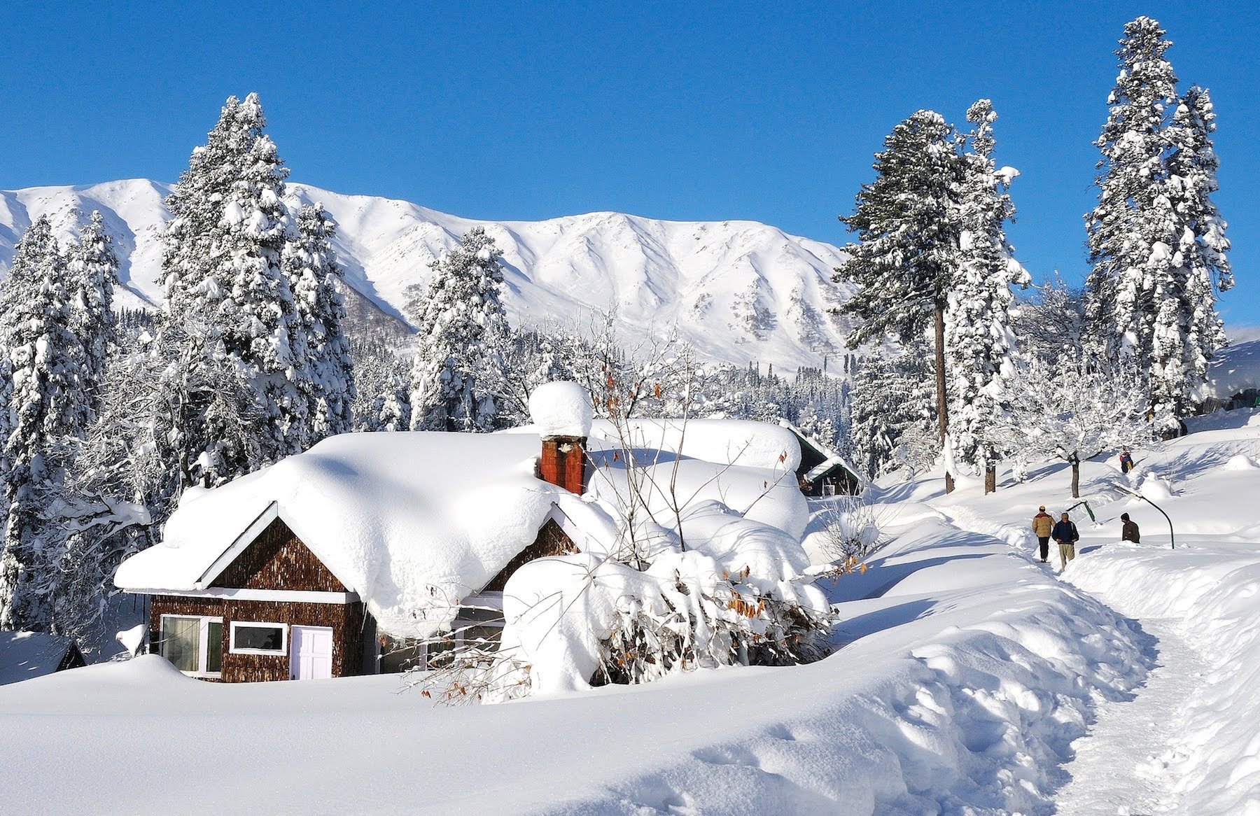 Gulmarg snow festival golden wheels