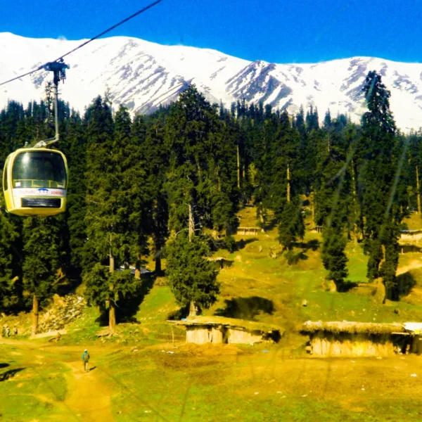 PSX 20240106 071828 1