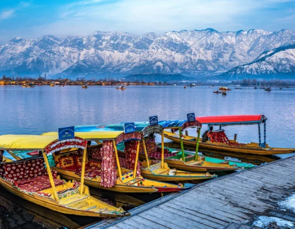Shikara Ride in Dal Lake