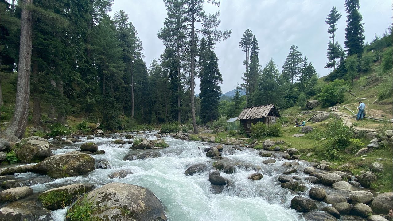 Athwatoo Bandipora golden wheels
