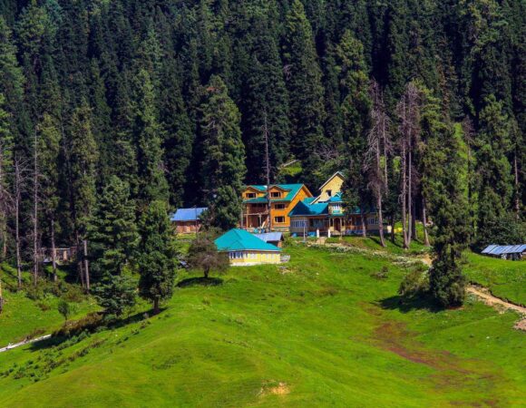 Kashmir Gulmarg Honeymoon Packages