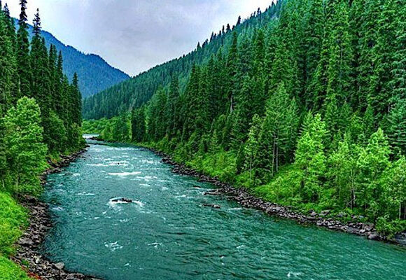 Kashmir Honeymoon Package