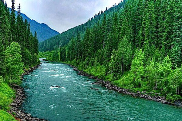betaab valley kashmir golden wheels