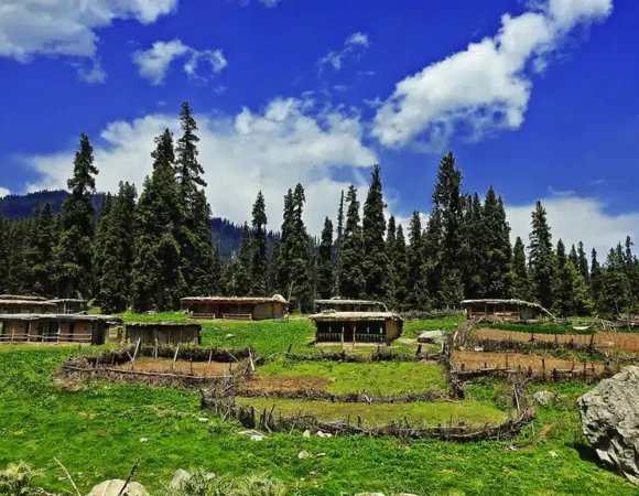 Best Tour Packages to Visit Kashmir
