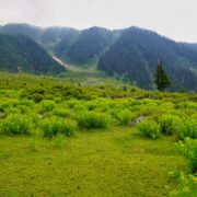 Is it safe to visit Gulmarg now