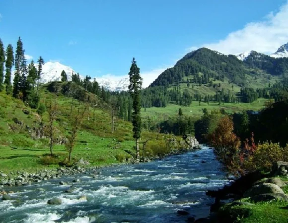 8-Day Kashmir Tour Experience