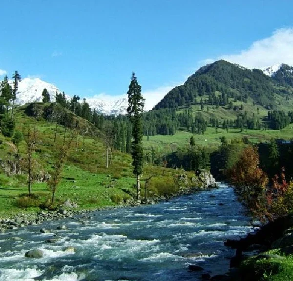 8-Day Kashmir Tour Experience