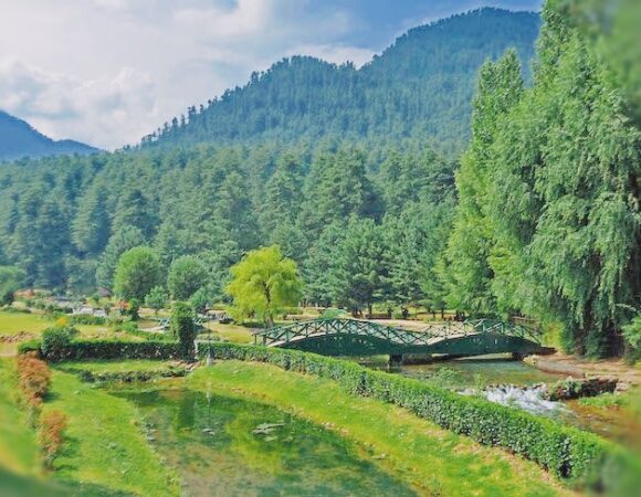 Daksum Valley : Explore, Dream, Discover