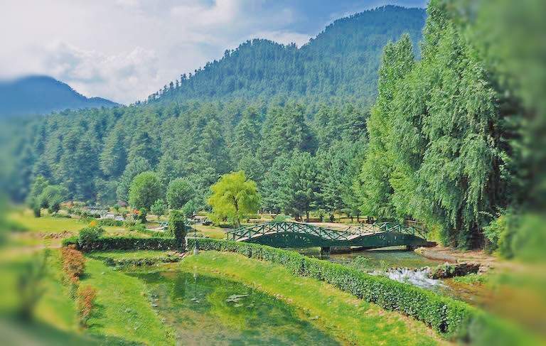 daksum valley kashmir golden wheels