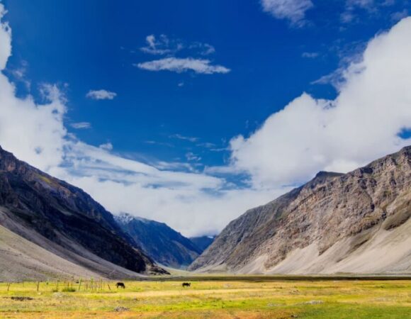 Drass Valley : Nature’s Frozen Canvas