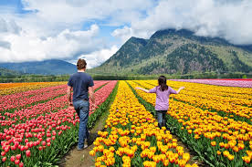 How to Plan Kashmir Tour in March
