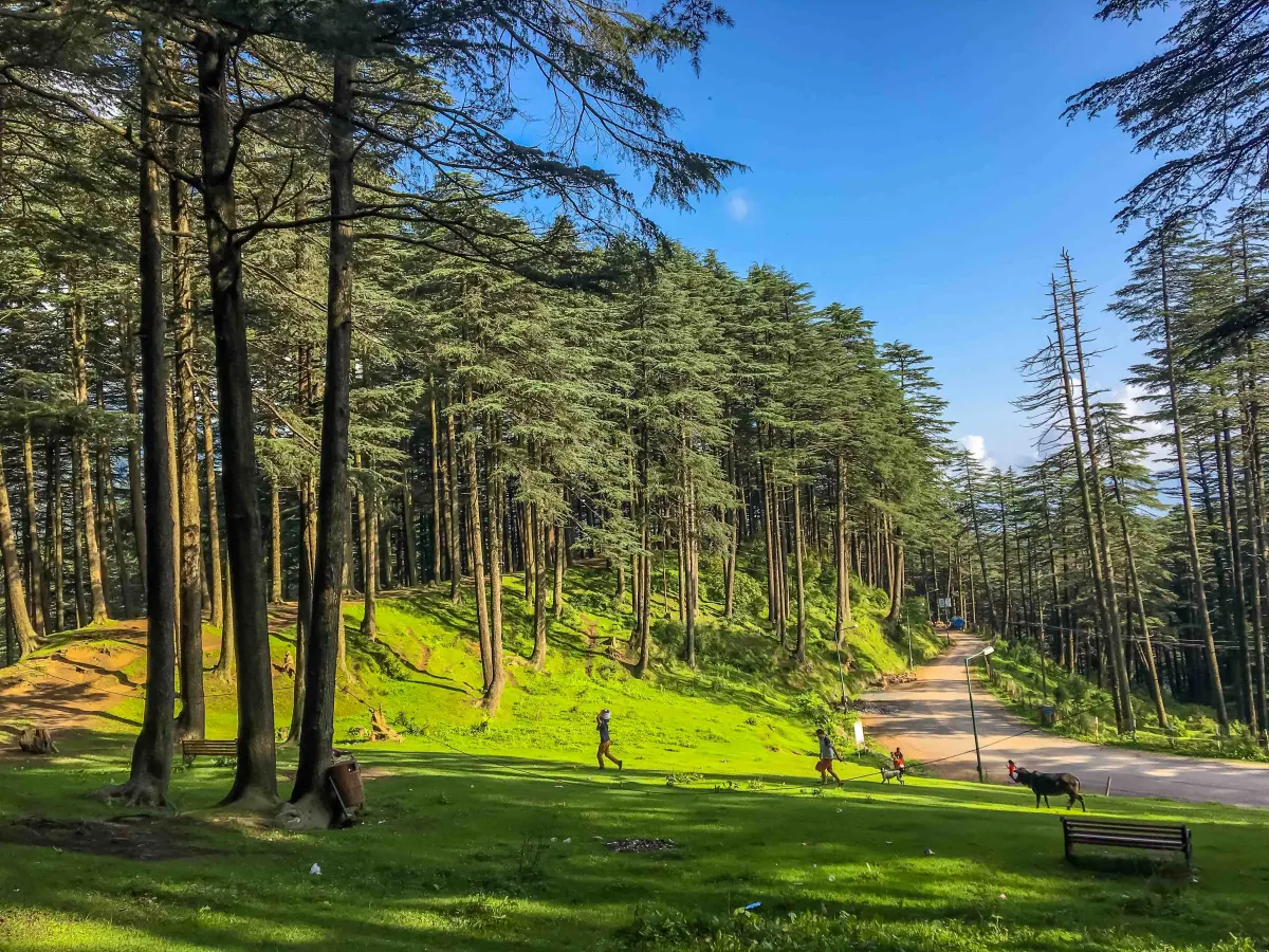patni top kashmir golden wheels
