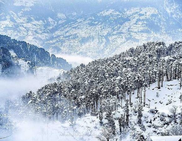 Patnitop : A Dream of Peaks and Pines