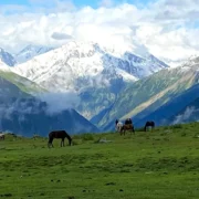 Best Time to Visit Sonamarg