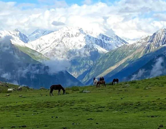 Sonamarg in September