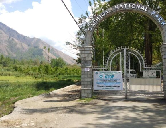 Dachigam National Park : Kashmir’s Wildlife Sanctuary