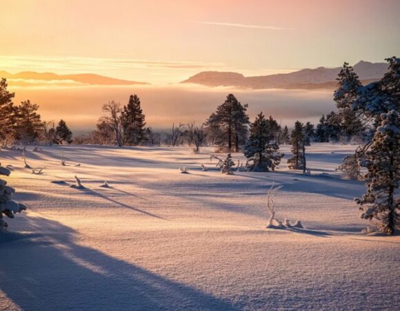 Srinagar Turns Into a Winter Wonderland!
