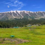 Gulmarg in May