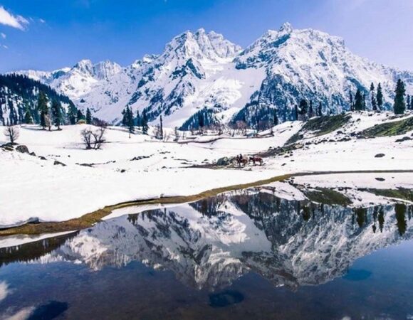 Thajiwas Glacier : A Majestic Glacial Wonder