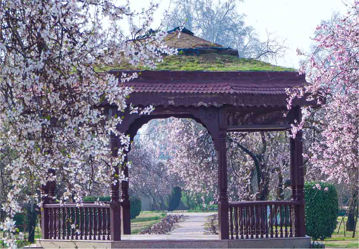 Badamwari Mughal Garden golden wheels