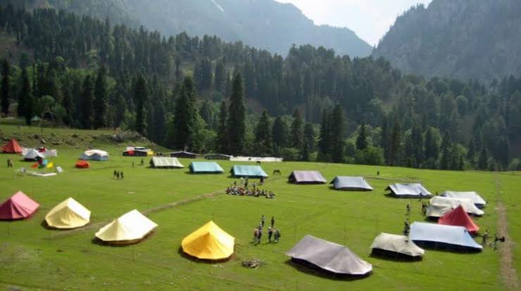 Camping in Kashmir golden wheels