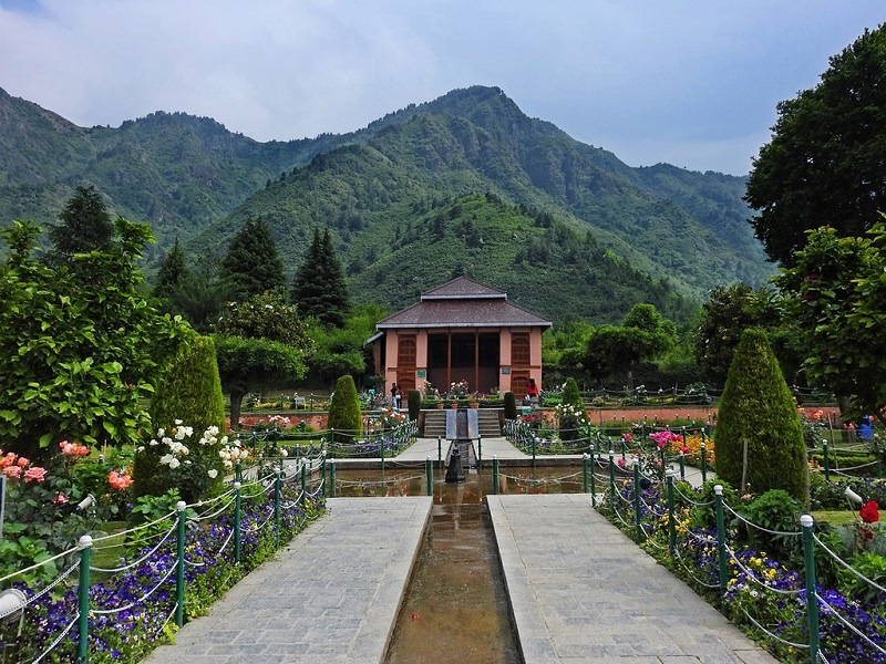 Chashme Shahi Garden golden wheels