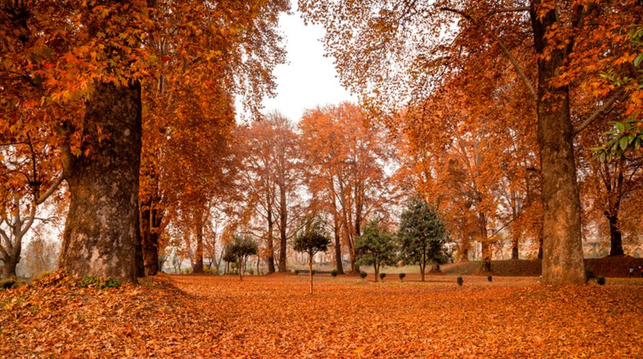 How to Plan Kashmir Tour in November