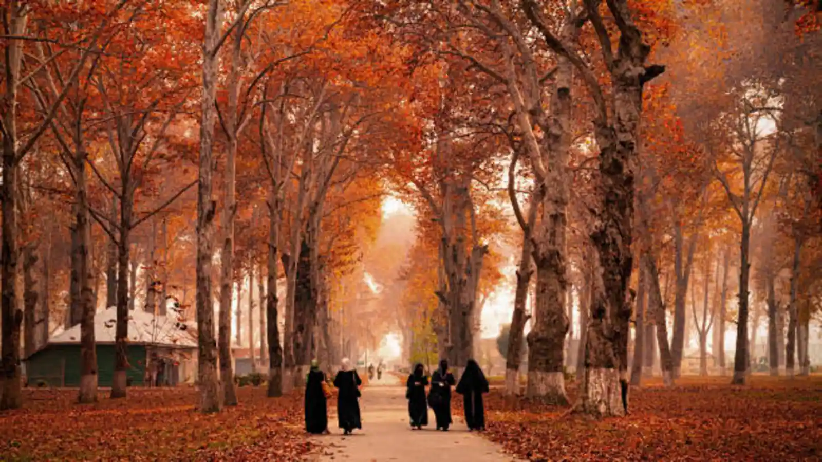 How to Plan Kashmir Tour in November
