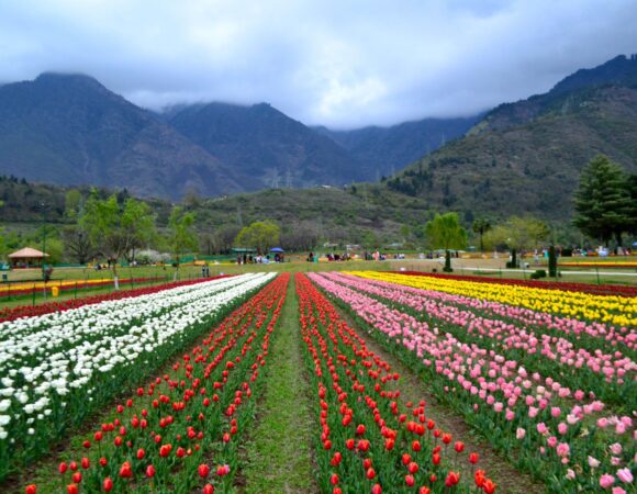 Kashmir in Spring : A Blooming Paradise Awaits