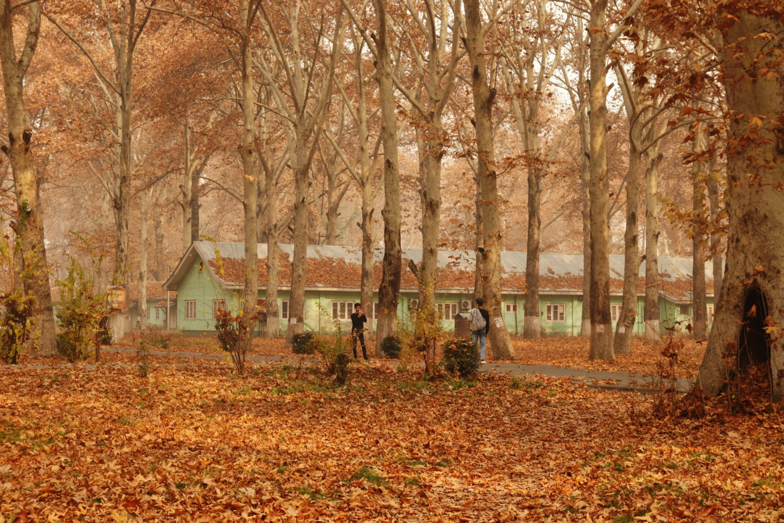 How to Plan Kashmir Tour in October