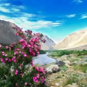 Famous Tourist Places in Ladakh
