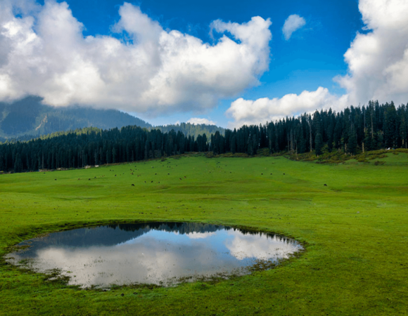 Kashmir in May