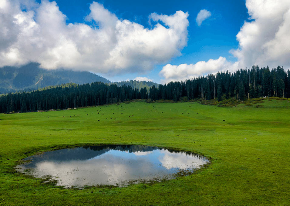 Kashmir in May