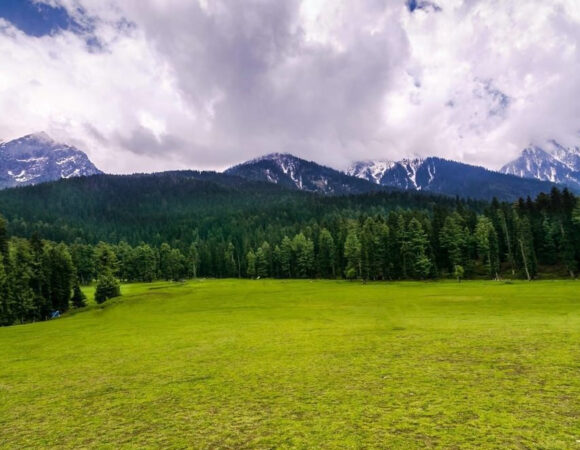 Mini Switzerland : A Journey to Baisaran Valley