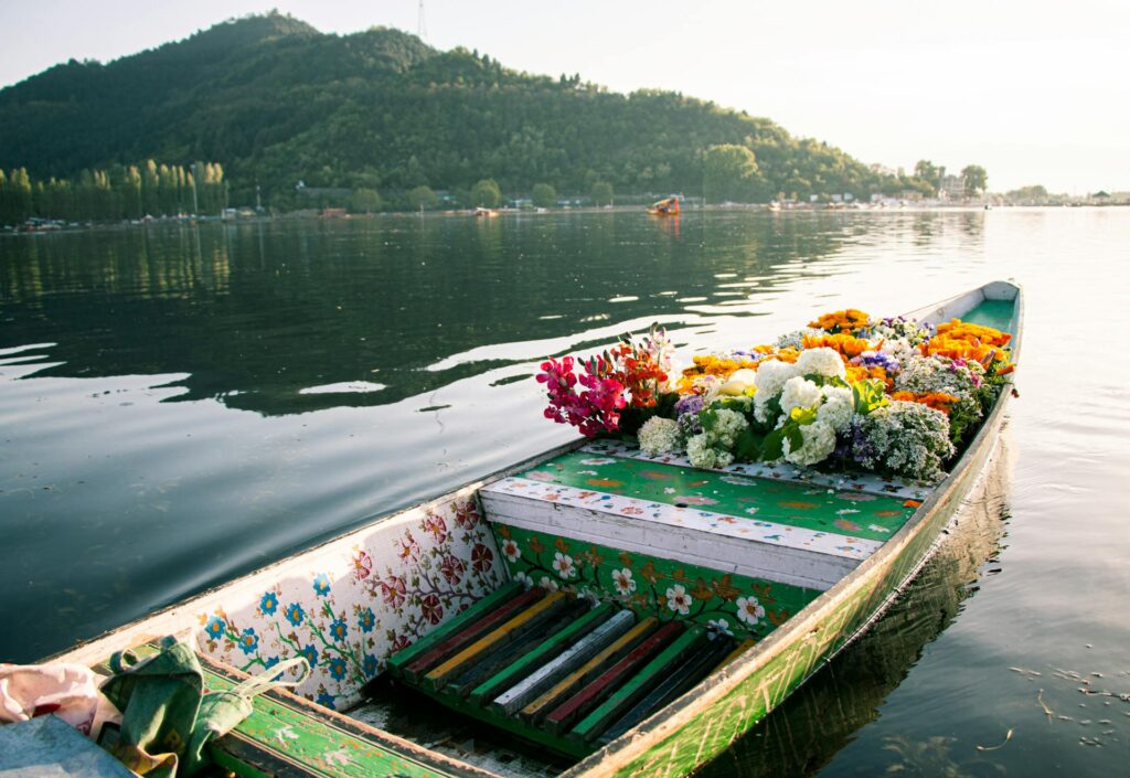 Things to Buy in Kashmir