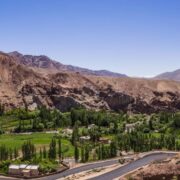 Uleytokpo Ladakh golden wheels