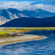 Yarab Tso, Ladakh golden wheels