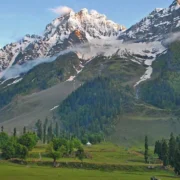 How to Reach Sonamarg from Srinagar