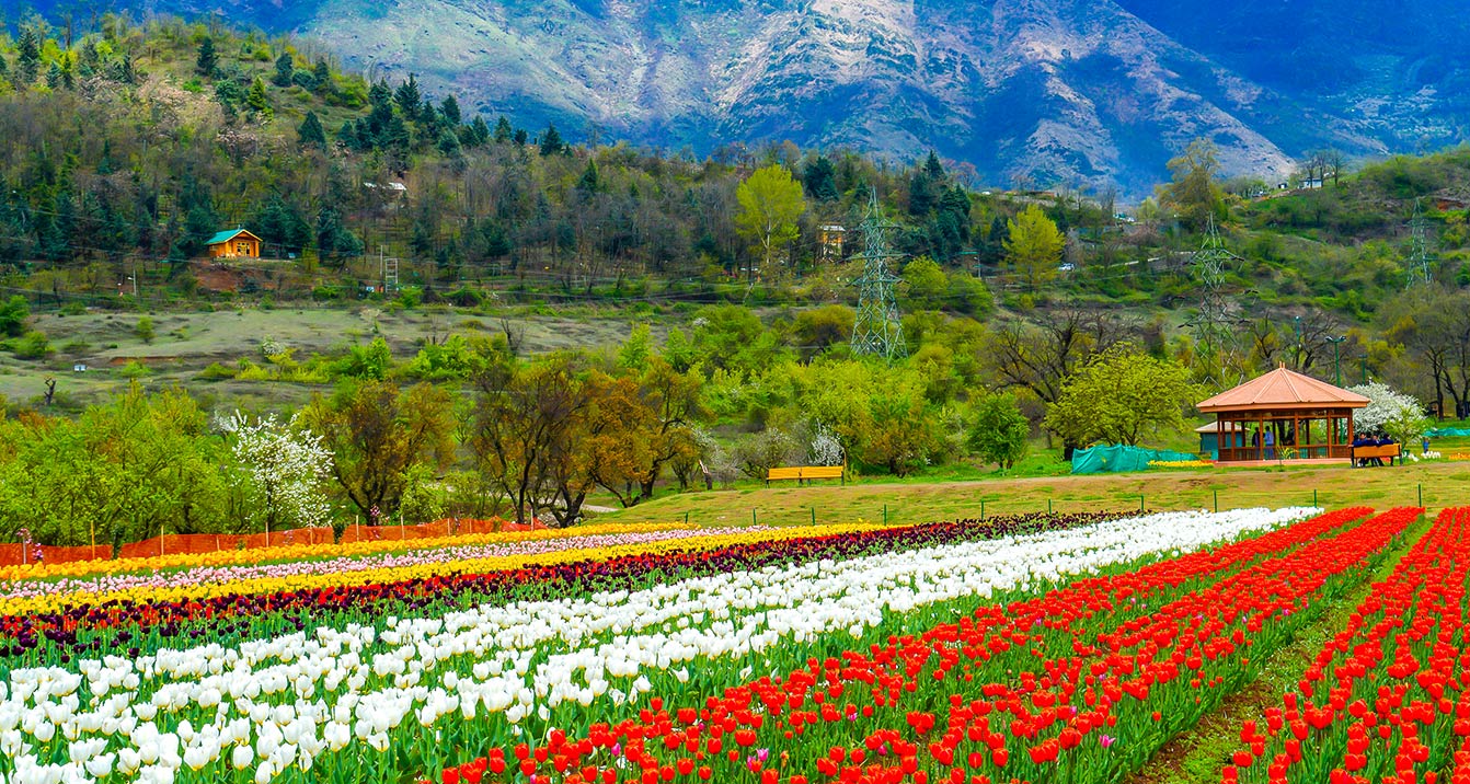 Five Star Hotels in Srinagar