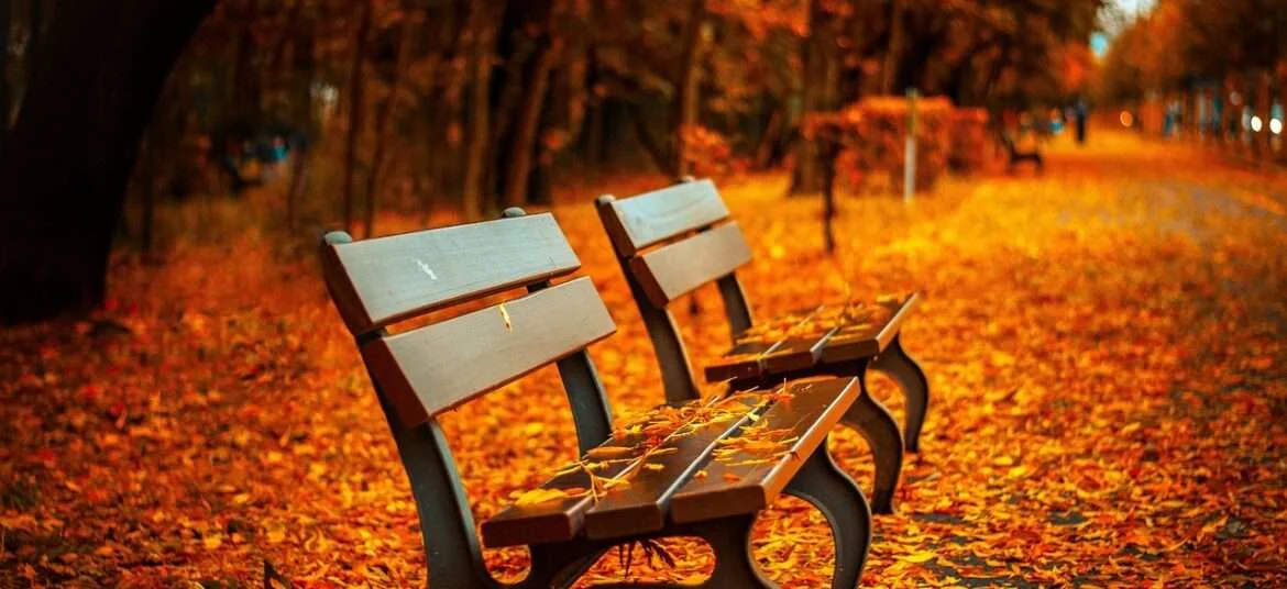 Srinagar in November