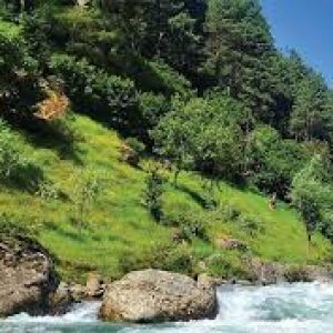 Athwatoo kashmir golden wheels