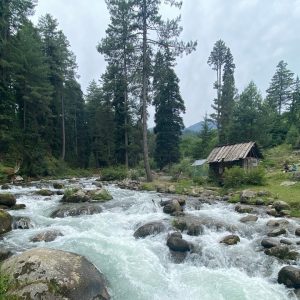 Athwatoo Bandipora golden wheels