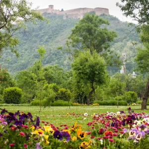 Badamwari Mughal Garden golden wheels 1