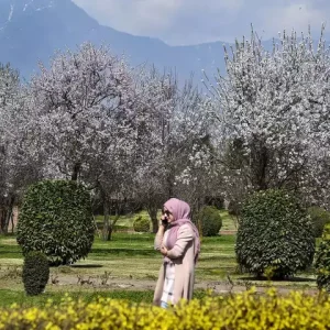 Badamwari Mughal Garden golden wheels