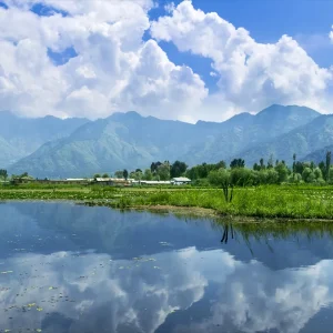 Best Time to visit Kashmir golden wheels