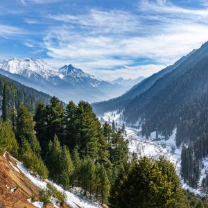 Best Time to visit Kashmir golden wheels