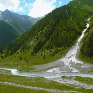 Best Time to visit Kashmir golden wheels