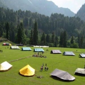 Camping in Kashmir golden wheels