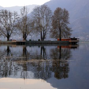 Char Chinar golden wheels